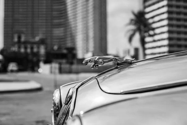 WagerWeb Kasino Android/iOS aplikace